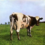 Storm Thorgerson, note di copertina