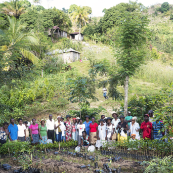 I contadini di haiti che si stanno prendendo cura della foresta di 4Graph.